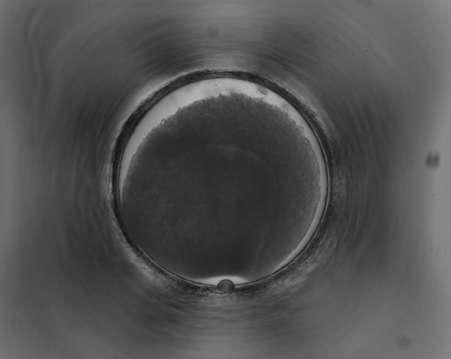 X0000102040935200808081831