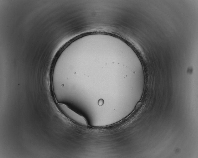 X0000102040936200808081831