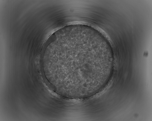 X0000102040937200808081831