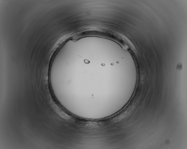 X0000102040938200808081831