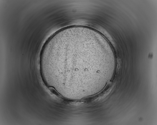 X0000102040939200808081831