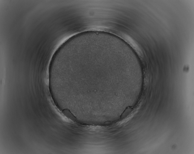 X0000102040940200808081831