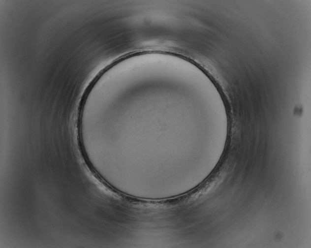 X0000102040941200808081831