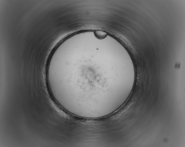 X0000102040942200808081832