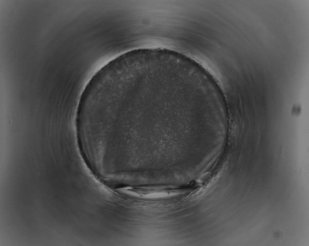 X0000102040943200808081832