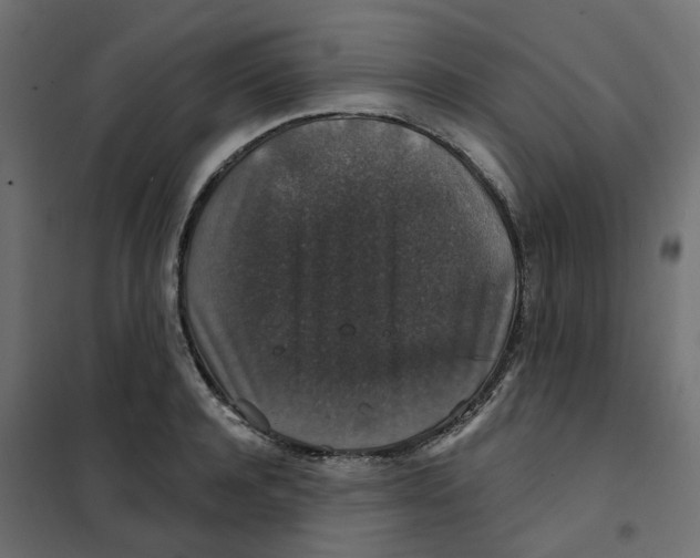 X0000102040944200808081832