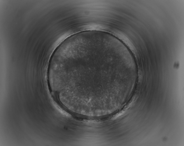 X0000102040946200808081832