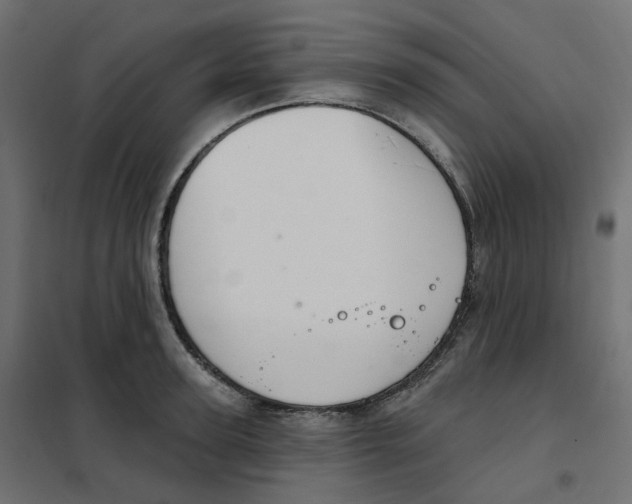 X0000102040947200808081832