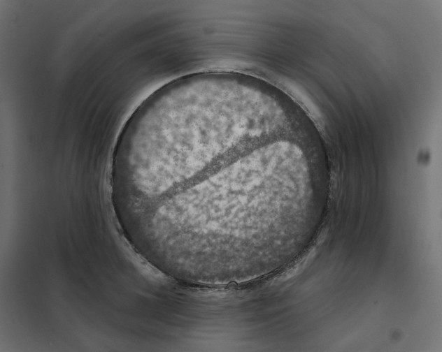 X0000102040948200808081832