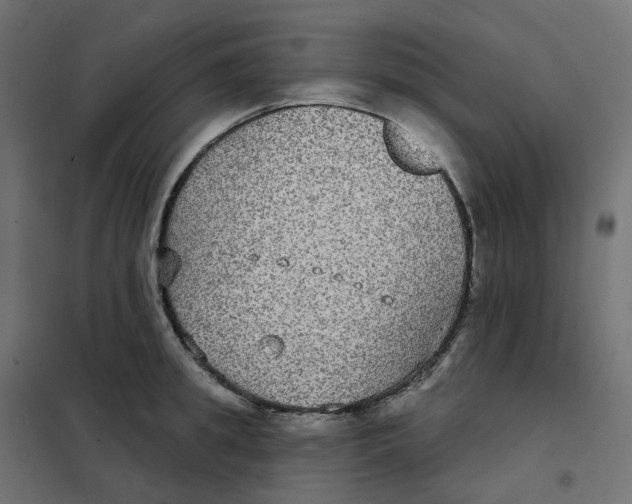 X0000102040949200808081832