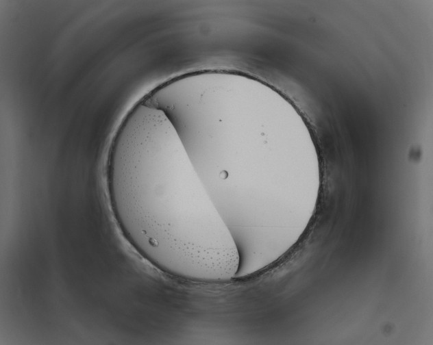 X0000102040950200808081832