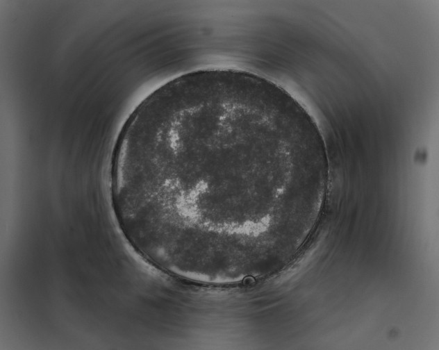 X0000102040951200808081832