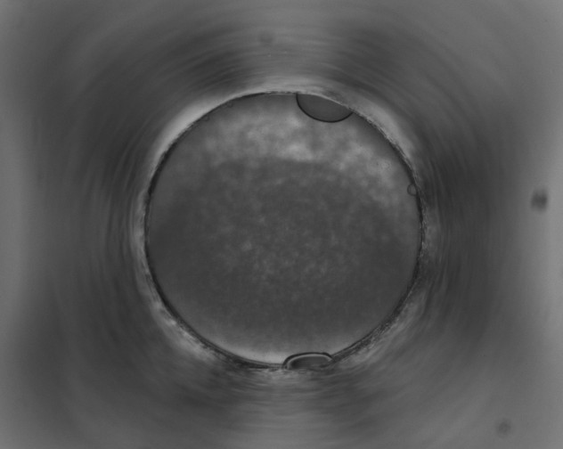 X0000102040952200808081832