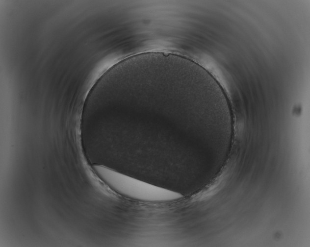 X0000102040954200808081832