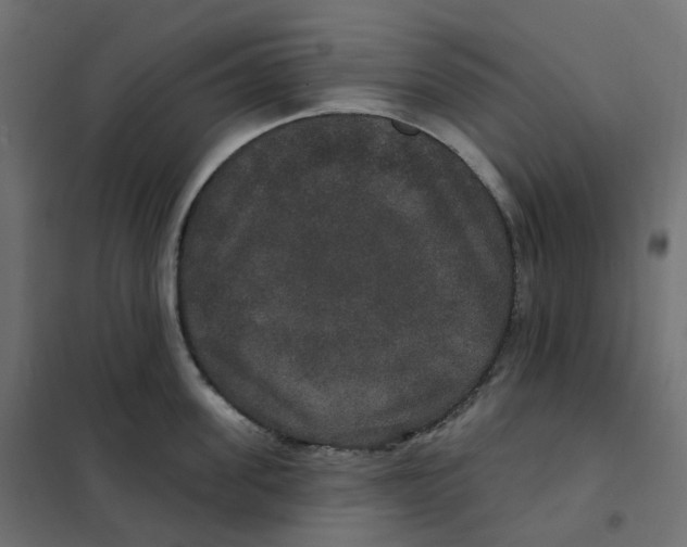 X0000102040955200808081832