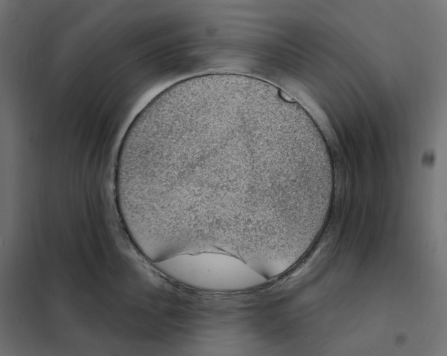 X0000102040956200808081832