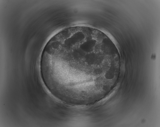 X0000102040957200808081832