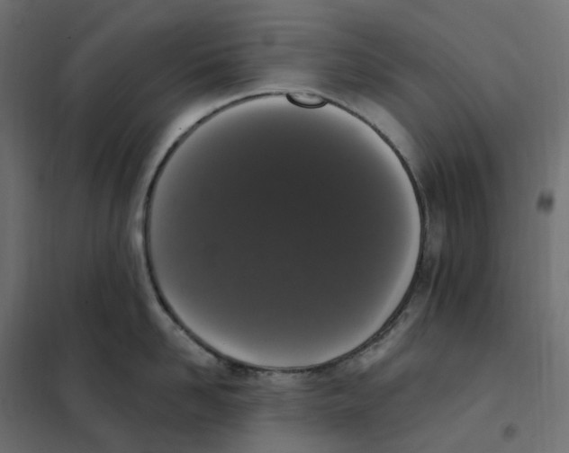 X0000102040958200808081832