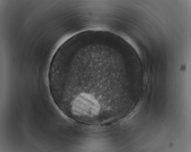 X0000102040959200808081832