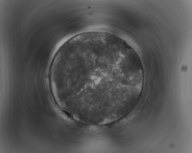 X0000102040960200808081832