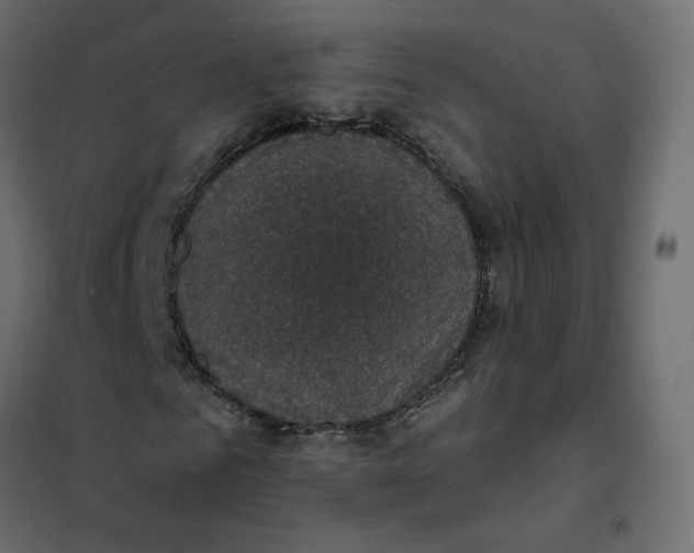 X0000102040961200808081831