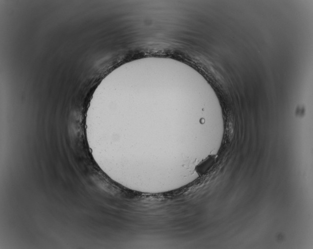 X0000102040964200808081831