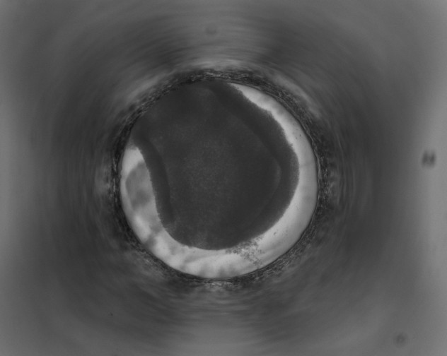 X0000102040966200808081831