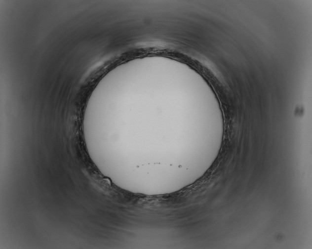 X0000102040967200808081831