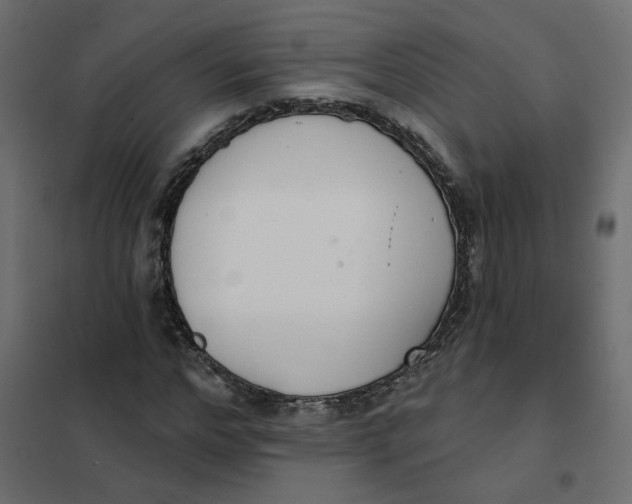 X0000102040968200808081831