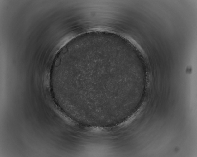 X0000102040969200808081831