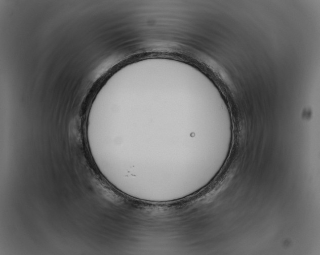 X0000102040970200808081831