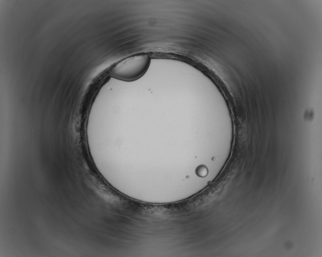 X0000102040971200808081831