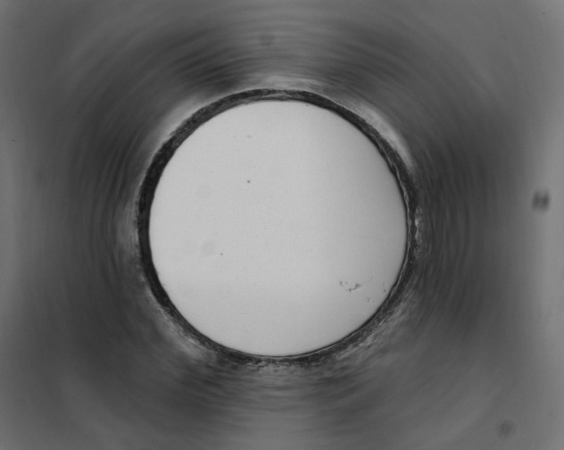 X0000102040972200808081831