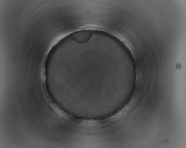 X0000102040973200808081831