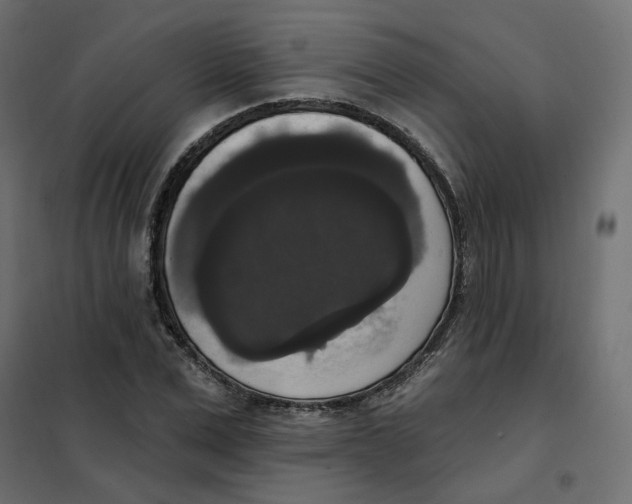 X0000102040975200808081831