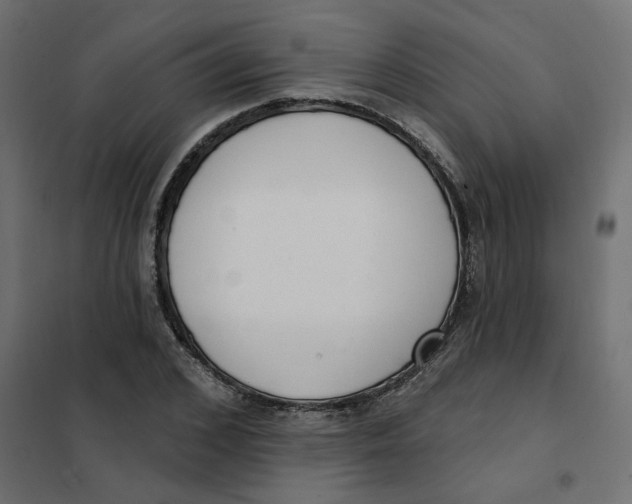 X0000102040976200808081831