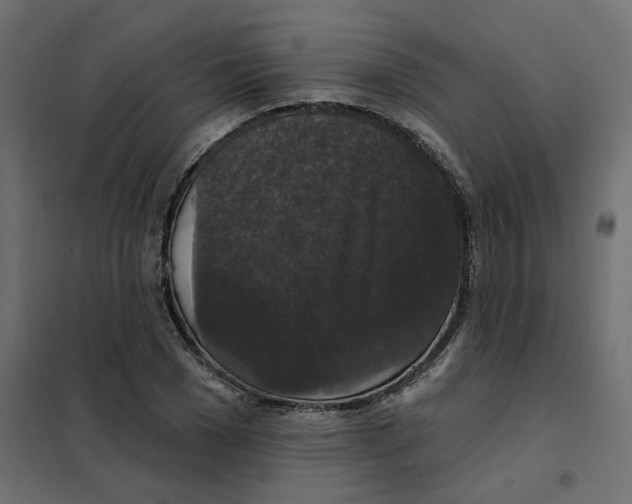 X0000102040977200808081831