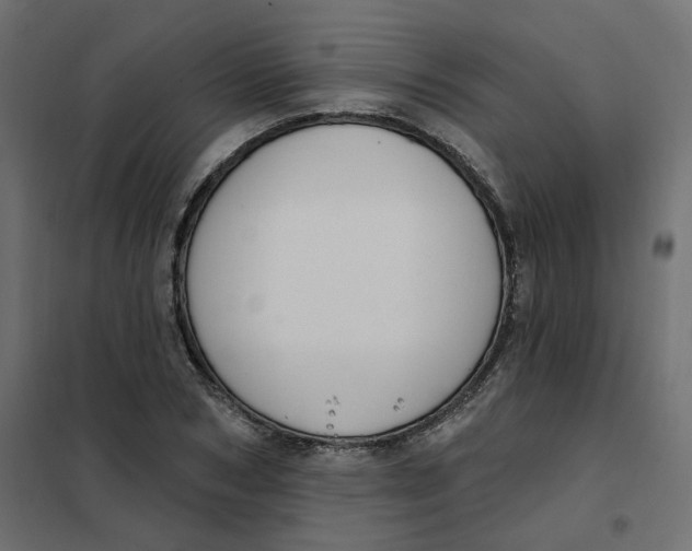 X0000102040978200808081831