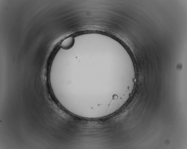 X0000102040979200808081831