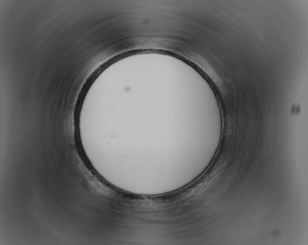 X0000102040980200808081831