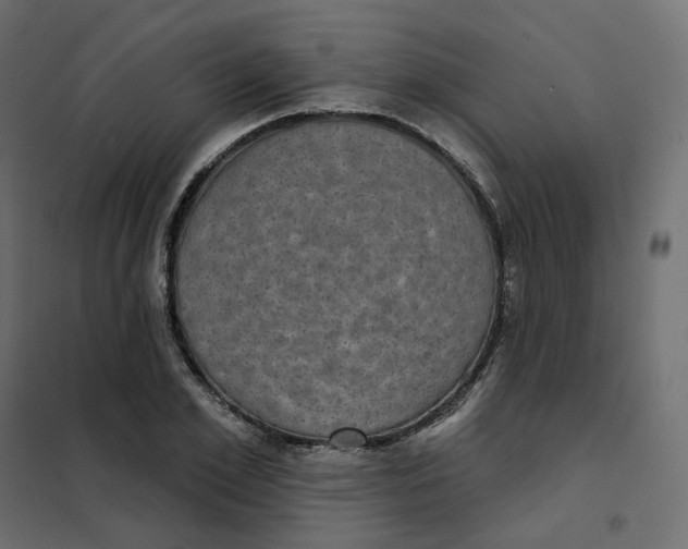 X0000102040981200808081831