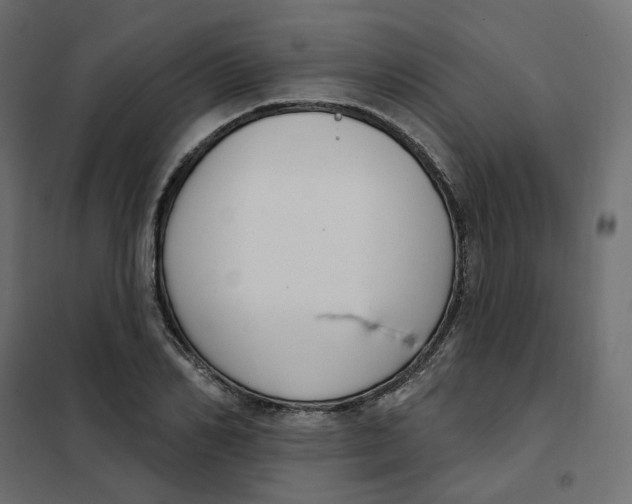 X0000102040982200808081831