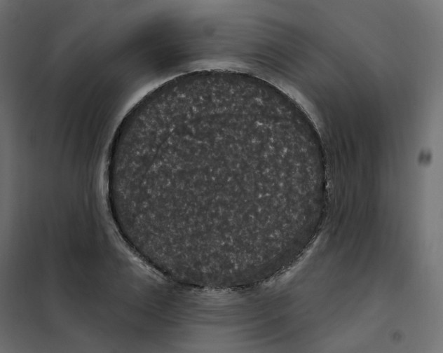 X0000102040983200808081831