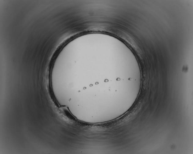 X0000102040984200808081831