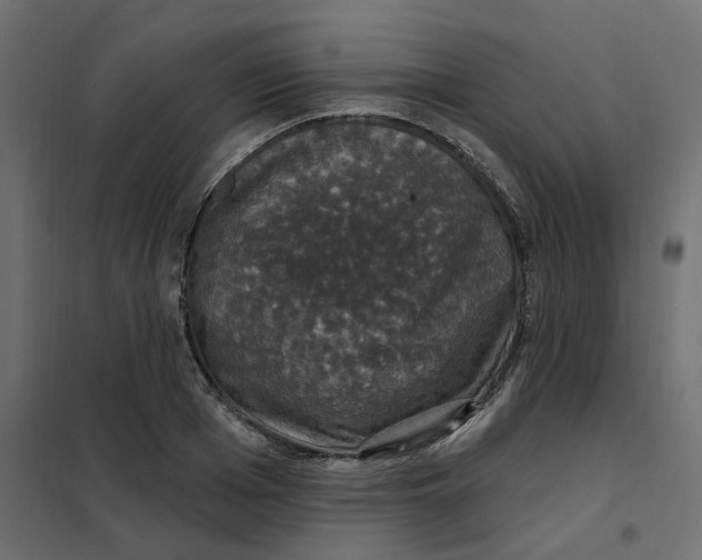 X0000102040985200808081831