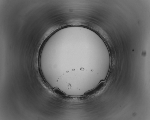 X0000102040986200808081831