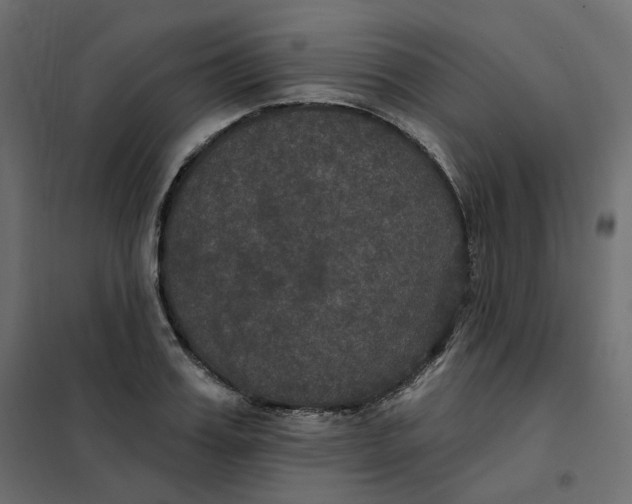 X0000102040987200808081831