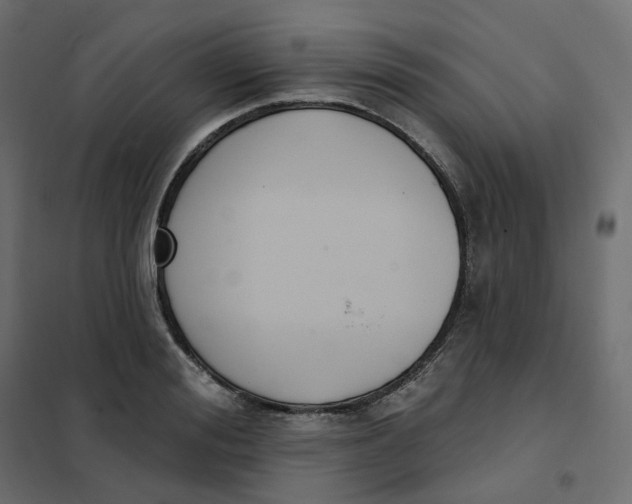 X0000102040988200808081831