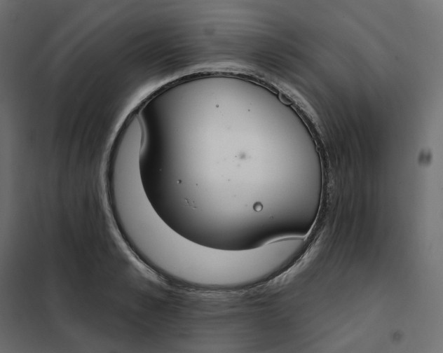 X0000102040989200808081831