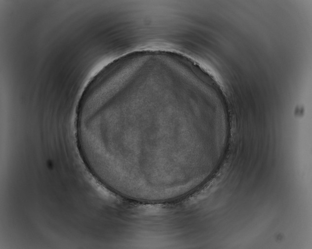 X0000102040990200808081831